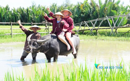 Hoi An Wet Rice Growing Daily Tour Half Day Experience