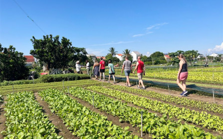 Cham Island – Tra Que Herbal Vegetable Village Hoi An Daily Tour