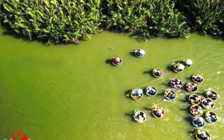 Cham island and Bay Mau Coconut riding basket boat 1 day tour