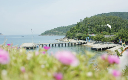 Bai Lang Pier: The Heart of Cham Island (Cu Lao Cham) Tour