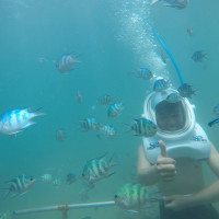 Tourdiboduoibienculaocham3