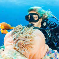 Tour Lặn Ngắm San Hô Cù Lao Chàm Bằng Bình Khí Oxy