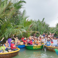 Rưng Dua Bay Mau Cam Thanh Hoi An