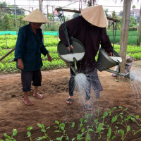 Tourlangrautraquehoian