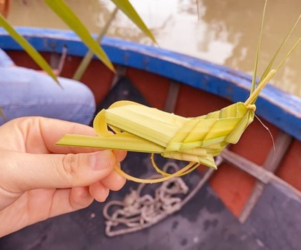 Tour Rừng Dừa Bảy Mẫu Hội An