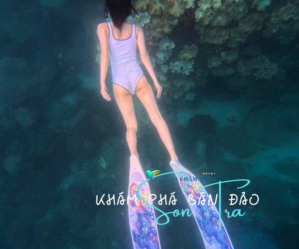 Tour Free Dive Bán đảo Sơn Trà