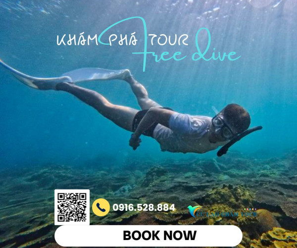 Tour Free Dive Bán đảo Sơn Trà