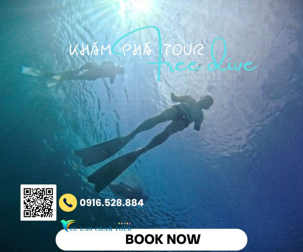 Tour Free Dive Bán đảo Sơn Trà
